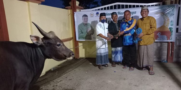 Berbagi di Idul Adha, Rico Sia Salurkan Puluhan Ekor Sapi Kurban