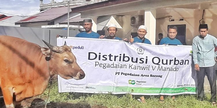 Idul Adha, PT Pegadaian Area Sorong Sembelih 13 Ekor Hewan Qurban