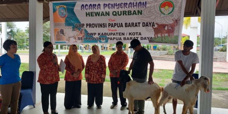 Dharma Wanita Persatuan Provinsi Papua Barat Daya Kurban 12 Ekor Kambing