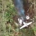 Pesawat SAM Air Jatuh dan Terbakar di Hutan Papua