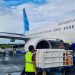 Eksport Ikan dari Sorong ke Singapura Tembus 1,7 Ton Sehari