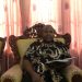 KPU Kabupaten Sorong Susun DPTb