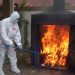 51 Kg Daging Babi Terinfeksi Virus Dimusnahkan