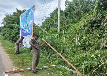 Satpol PP Kabupaten Sorong Turunkan Puluhan Baliho Kadaluarsa