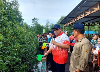 Perkuat Ekosistem Hutan Mangrove, Pj Gubernur PBD Sebar Seribu Bibit  Nila