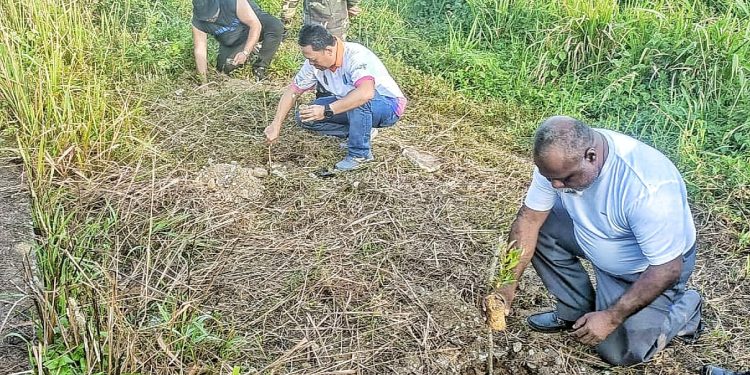 Peringati Hari Sumpah Pemuda, Disporaparekraf PBD Gelar Aksi Tanam Pohon