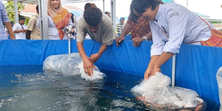 Dinas Perikanan Serahkan Bantuan Paket Lengkap Budidaya Ikan Air Tawar