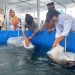 Dinas Perikanan Serahkan Bantuan Paket Lengkap Budidaya Ikan Air Tawar