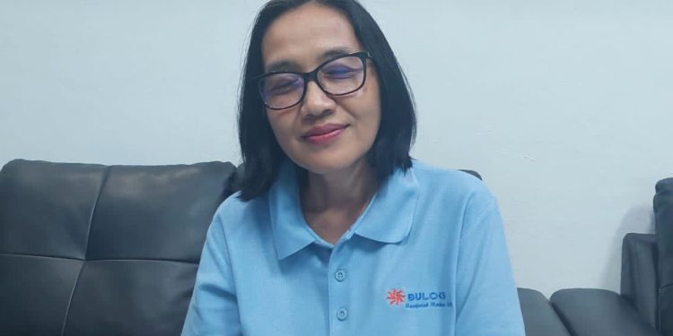 Jelang Natal dan Tahun Baru, Bulog Pastikan Stok Beras Aman