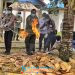 Tanpa Sertifikat Kesehatan, Balai Karantina HIT PBD Musnahkan Ribuan Kg Media Pembawa HPHK