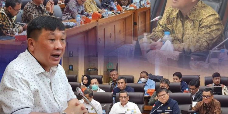 Rico Sia, Dalam Catatan 1 Periode di DPR RI