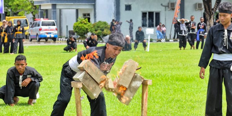 Tournament Pencak Silat Danlantamal Cup, Ketua IPSI : Dapat Melahirkan Atlet Berprestasi