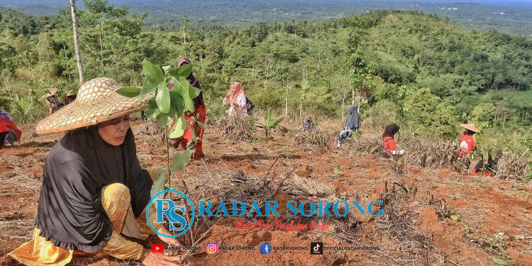 Reboisasi 33.800 Bibit Pohon, Telkom Dukung Pemulihan Lahan Kritis