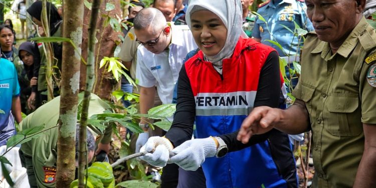 Komitmen Bisnis Perusahaan Berwawasan Lingkungan, Kilang Kasim Lepasliarkan Puluhan Satwa Endemik