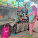 Selama 10 Tahun, Mira Akui Memasak Gunakan Kompor Gas LPG Lebih Praktis & Cepat