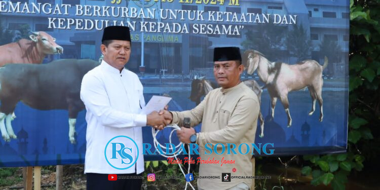 Koarmada III Kurban 22 Ekor Sapi dan 3 Kambing