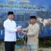 Koarmada III Kurban 22 Ekor Sapi dan 3 Kambing
