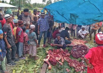 Shalat Idul Adha Berjamaah, Bupati Sorsel Ikut Saksikan Hewan Sapi Kurban Disembelih