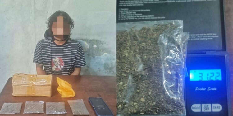 Polresta Sorong Kota Tangkap Tersangka Pengedar Ganja