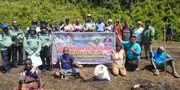 Tingkatkan Ekonomi Lokal, Dinas P2KP PBD Dukung Warga Maybrat Tanam Kacang Tanah