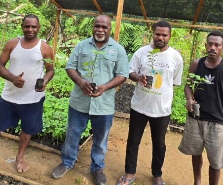 Tambrauw Diproyeksikan Jadi Lumbung Nilam di Tanah Papua