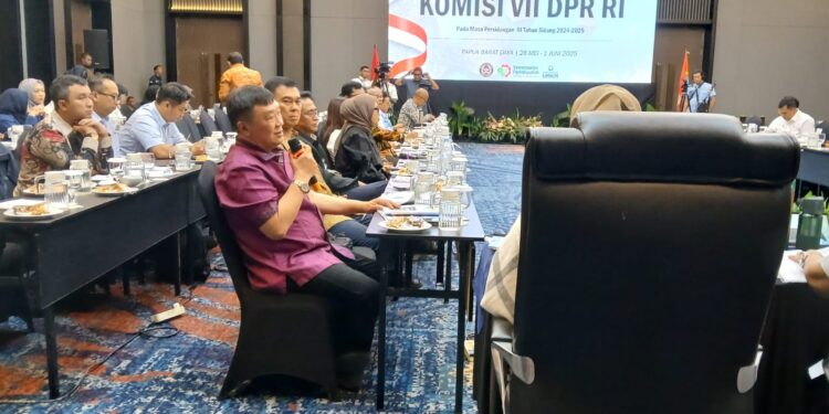 Rico Sia Apreseasi Keputusan Presiden Cabut Ijin 4 Perusahaan Tambang di Raja Ampat