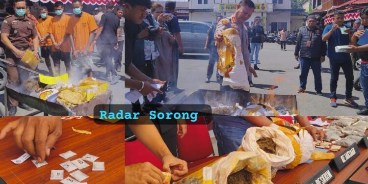 Tangkap 3 Pelaku, Polresta Sorong Kota Musnahkan Ganja 3,4 Kg & Sabu 7 Gram