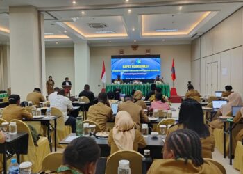 Tingkatkan Pelayanan Publik, Dinkes PBD Gelar Rakor Penguatan SPM Bidang Kesehatan