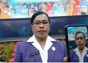 Jemima Lobat Nahkodai Tim Pembina Posyandu di Kota Sorong, 6 OPD Masuk Tim