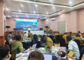 Dinas LHKP Papua Barat Daya Latih Pegawai Susun KLHS, Antisipasi Dampak Lingkungan