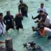 4 Tahun, 57 Ekor Ikan Hiu Belimbing Dilepas di Laut Raja Ampat, Gubernur Terkagum-Kagum