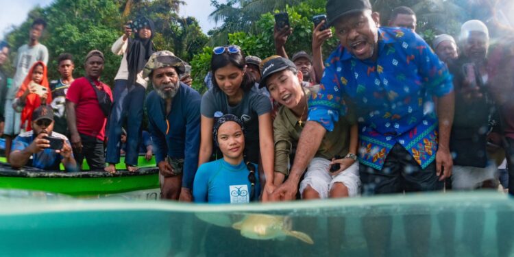 Pelepasliaran Anakan Hiu Belimbing di Kalig Misool Tandai Komitmen Konservasi Y MER dan Pemda