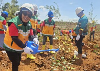 PT GAG NIKEL Perkuat Komitmen Konservasi Lingkungan, Wartawan Diajak Tanam Pohon dan Lepasliaran Tukik