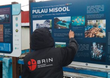 BRIN Eksplorasi Sistem Pengobatan Tradisional di Misool Raja Ampat