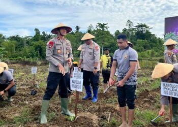 Kapolda Papua Barat Daya Pimpin Penanaman UWI Ungu