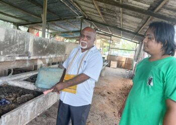 Cegah Penumpukan Sampah di TPA, Dinas LH Papua Barat Daya Prioritas Daur Ulang Sampah Organik