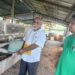 Cegah Penumpukan Sampah di TPA, Dinas LH Papua Barat Daya Prioritas Daur Ulang Sampah Organik