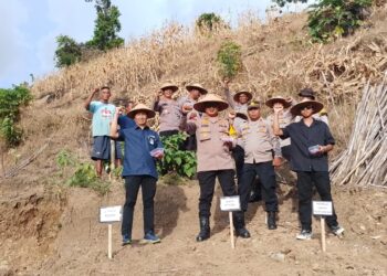 Polres Raja Ampat Laksanakan Penanaman Jagung Pipil
