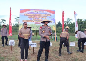Polda Papua Barat Daya Gelar Penanaman Raya Jagung Pipil Serentak Kuartal I