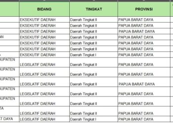 Pelaporan LHKPN Pejabat di PBD Masih Rendah, Kota Sorong Baru 36,41 Persen