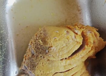 Dapur SPPG Sawagumu Ditutup Sementara, Ditemukan Belatung di Menu MBG