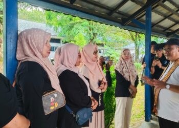 Sambut Era Kecerdasan Buatan, Kemendikdasmen Gencarkan Pelatihan Coding dan AI Bagi Guru Mulai Tingkat SD