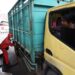 Penuhi Kebutuhan Masyarakat Selama Libur Idul Adha, Pertamina Patra Niaga Jaga Ketersediaan Stok Energi di Papua-Maluku