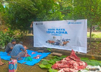Pelindo Regional 4 Sorong Salurkan Hewan Kurban Bagi Masyarakat
