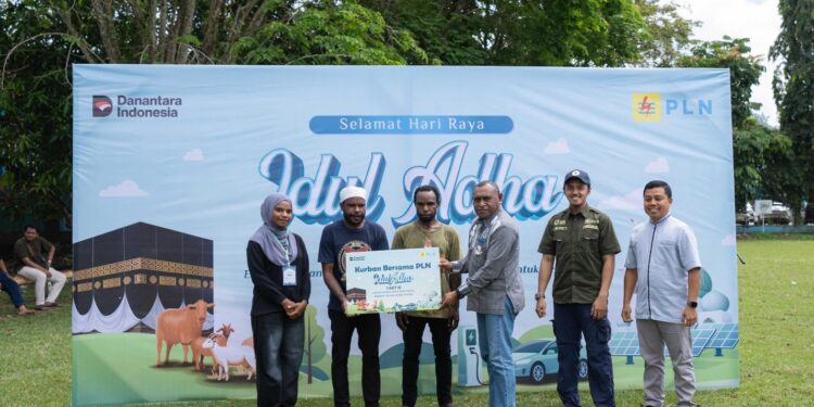Tebar Keberkahan Iduladha 1447 H, PLN Salurkan 23 Hewan Kurban di Tanah Papua