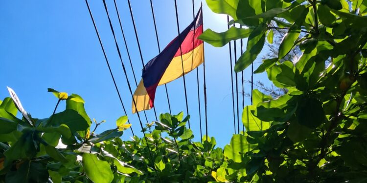 Jelang Piala Dunia, PLN Imbau Warga Jaga Jarak Aman Atribut dari Jaringan Listrik