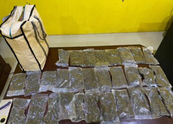 Satresnarkoba Polresta Sorong Kota Gagalkan Peredaran 597 Gram Ganja