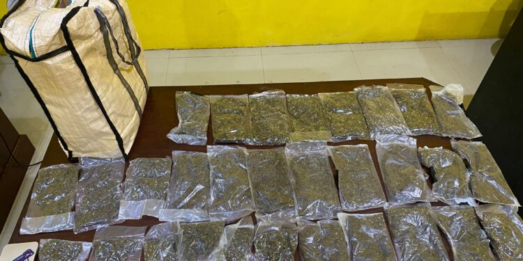 Satresnarkoba Polresta Sorong Kota Gagalkan Peredaran 597 Gram Ganja