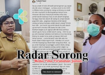 Kasus Balita Meninggal, Dinkes Kota Sorong Investigasi Dugaan Kelalaian RS Usai Unggahan Ibu Korban Viral