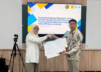 PLN dan Kementerian ESDM Bersinergi, Percepat Pembangunan Infrastruktur Kelistrikan di Teluk Bintuni